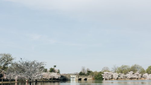 Washington DC photoshoot at Tidal Basin