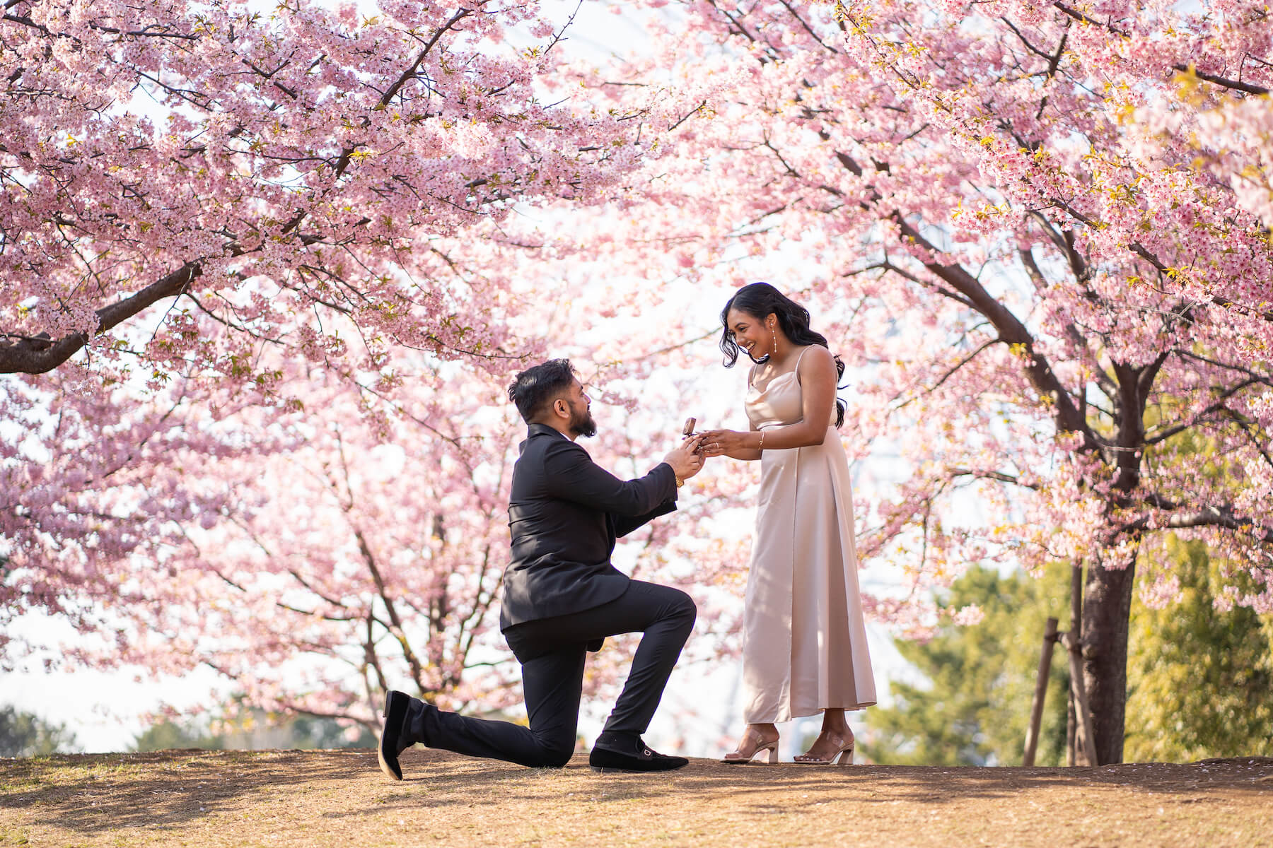 Man kneeling during Tokyo surprise proposal photo session in the cherry blossoms