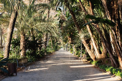 Málaga photoshoot at Parque de Málaga