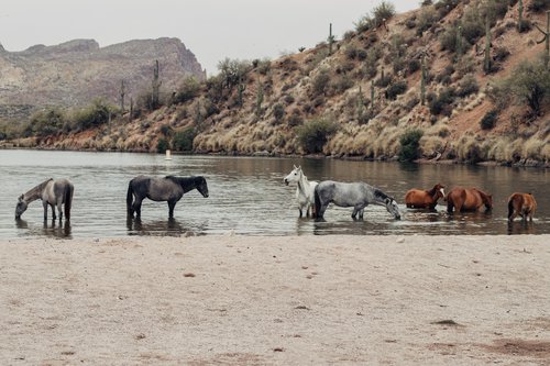Mesa photoshoot at Butcher Jones Recreation Site