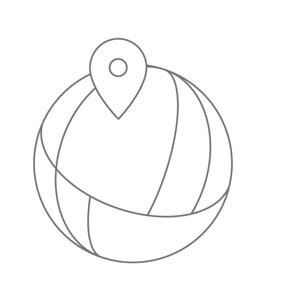 globe icon